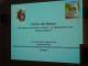 Niere zum Anfassen 2013