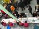 Niere zum Anfassen 2013